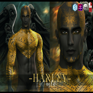 -Nivaro- Harley (FFaire Edition) Skin Appliers - 03