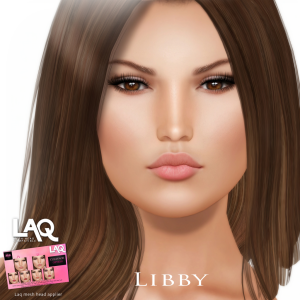 .__WoW Skins__. Libby Laq Applier