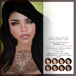 AMARA-def-poster