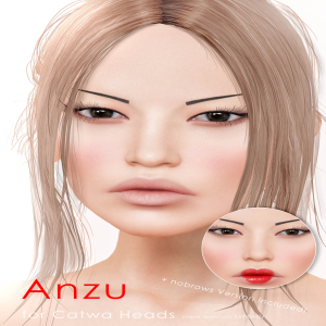 anzu-vendor