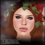 Blossom-Poster