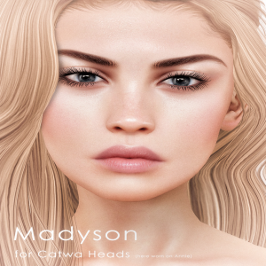 madyson-new-applier