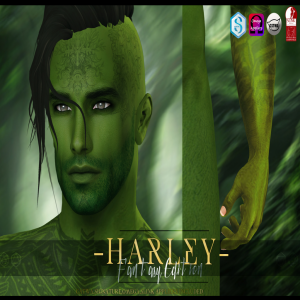 -Nivaro- Harley (FFaire Edition) Skin Appliers - 01