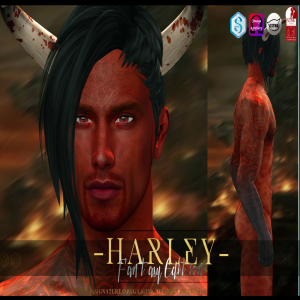 -Nivaro- Harley (FFaire Edition) Skin Appliers - 02