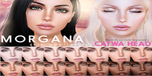 [PF] CATWA Mesh Head Appliers -Morgana-