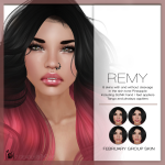 Remy-february-group-skin-2016-Poster