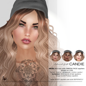 vendor-poster-advent-candie