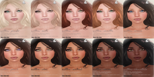 Willow - Base Skin Tones Display